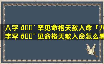 八字 🌴 罕见命格天赦入命「八字罕 🐯 见命格天赦入命怎么看」